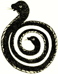 Aborigine Spiral Serpent
